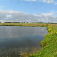 Местный пруд на реке Крутиха-3