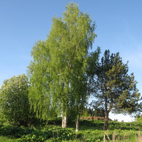 Сыктывкар 2014