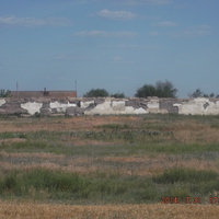 Разрушенные сельхозпредприятия в Вознесеновке
