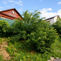 Улица Ильича