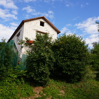 Улица Ильича