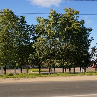 Каширский проспект