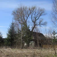 Деревенька моя...