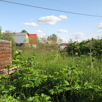 Выльгорт 2014 - ул. Желехнодорожная