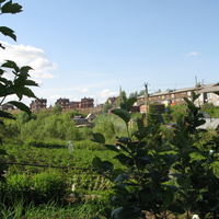 Выльгорт 2014 - ул. Железнодорожная