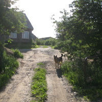 Выльгорт 2014 - ул. Ручейная