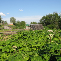 Выльгорт 2014 - ул. Нагорная