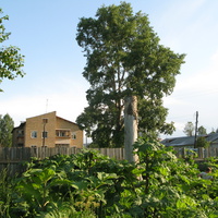 Выльгорт 2014 - ул. Советская