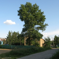 Выльгорт 2014 - ул. Рабочая