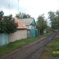 Село Николаевка, ул.Садовая  - дома Стрельцовых и Мищенко