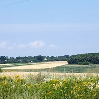 Вид на село Просяное со стороны Новой Водолаги.