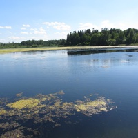 Ропша, озеро