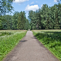 Дорожка в парке