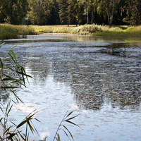 Павловский парк