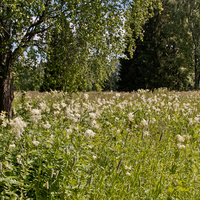 Павловский парк