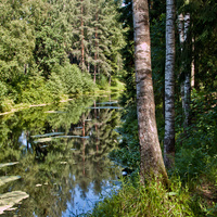 Павловский парк