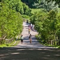 Павловский парк