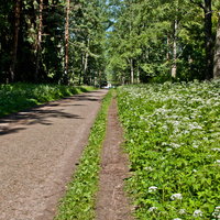 Павловский парк