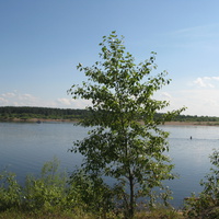 Седкыркещ 2014 река Вычегда