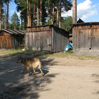 Седкыркещ 2014