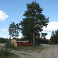 Седкыркещ 2014