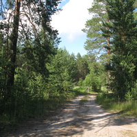 Седкыркещ 2014