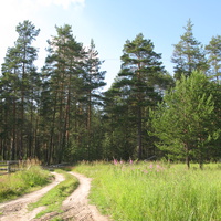 Седкыркещ 2014