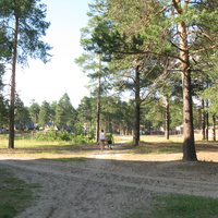 Седкыркещ 2014