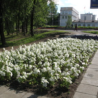 Сыктывкар 2014