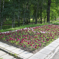 Сыктывкар 2014