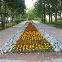 Сыктывкар 2014 - ул. Ленина