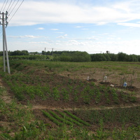 Выльгорт 2014 - ул. Мира