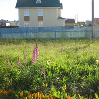 Выльгорт 2014  - ул. Юбилейная