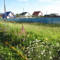 Выльгорт 2014  - ул. Юбилейная