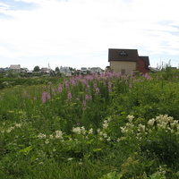 Сыктывкар 2014 - ул. Лесопарковая