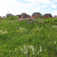 Сыктывкар 2014 - ул. Лесопарковая