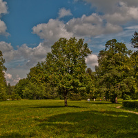 Павловский парк