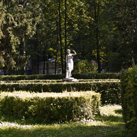 В Павловском парке