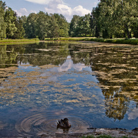 Большой Розовопавильонный пруд