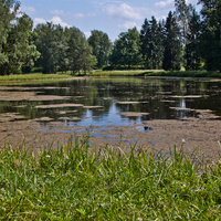 Средний Розовопавильонный пруд
