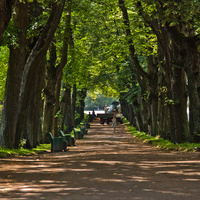 Липовая аллея