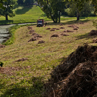 Павловский парк