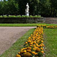 Павловский парк