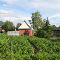 Выльгорт 2014