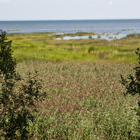 Финский залив возле Лебяжьего