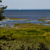 Финский залив возле Лебяжьего