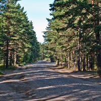 По дороге в Форт Красная Горка