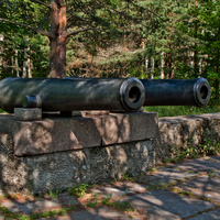 Пушки Форта Красная Горка