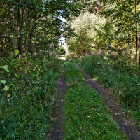 Форт Красная Горка