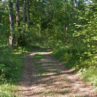 Природа Форта